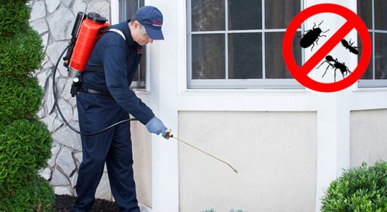 Tosya Bit İlaçlama böcek ilaçlama ve haşere kontrolü — ilaclama-tr.com